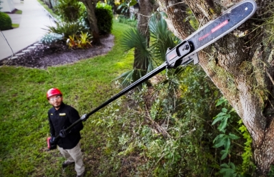 25cm_Pole_Saw_KC330.9
