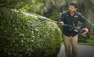 55cm_Pole_Trimmer_KC241.9